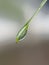 Beautifull macro shot of water drop