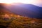 Beautifull summer evening mountain landscape. Carpathian, Ukraine.