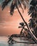 Beautifull sunset at beach of Maldives local island. Palm trees surrounding