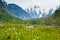 Beautifull valley with view to snow mountains and green plants