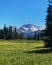 Beautifull Yellow Flower Mountain view of Wells Gray provincial Park