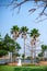 Beautifully arranged betel trees