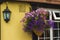 Beautifully arranged flowers in pot on English house facade