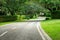 Beautifully curving hedge lined road