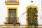 Beautifully decorated balconies with potted flowers in the historic center of Seville