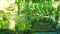 Beautifully decorated chair in the shade of trees near the waterfall