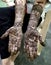 Beautifully decorated indian hands with mehandi