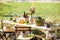 Beautifully decorated lunch table in the garden