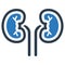 Beautifully designed Human lungs icon