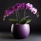 Beautifully designed plastic plant pot for lush flowers and orchids.