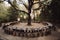 Beautifully designed wedding ceremony in the forest