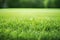 Beautifully illuminated generative photo capturing the lush green lawn of the soccer stadium