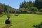 A beautifully landscaped lawn at the Butchart Gardens
