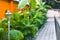 A beautifully manicured garden with decorated rocks pathway, ornamental plants, and flower bushes. Front lawn of a living house