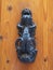 Beautifully ornate traditional brass door knocker, symbol of welcome