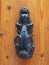 Beautifully ornate traditional brass door knocker, symbol of welcome