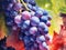 Beautifully rendered watercolor image of grapes