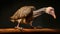 Beautifully Restored Feathered Bird On Wooden Board In Museum Gallery