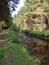 Beautifully secluded creek within dense woodland