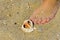 Beautifully shaped sea shell on the sand of a sea beach under th