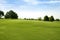 Beautigul Golf green grass sport fields