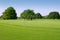 Beautigul Golf green grass sport fields