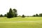 Beautigul Golf green grass sport fields