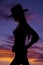 Beautirul cowgirl silhouette with her hands on her