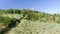 Beautiul aerial view of Pienza, Tuscany medieval town on the hill