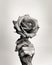 Beauty of Aging. A Black and White Portrait of an Elderly Hand Holding a Rose. Generative AI
