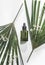 Beauty background with green cosmetic serum pipette glass bottle and tropical palm leaves on white background. Modern skin care