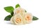 Beauty bouquet from white roses