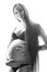 Beauty brunette pregnant woman isolated black and white portrait, tenderness people concept