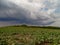 The beauty of Bulgarian nature, forests, plains, vineyards, endless fields of golden wheat and sunflower, blue sky and mystical cl