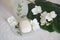 Beauty care for skin and body equipment decorated with orchid flowers and philodendron leaf