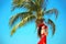 Beauty Carefree young girl with red hat relaxing on tropical beach with exotic Palm tree. Summer outdoor portrait. Lifestyle.