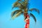 Beauty Carefree young girl with red hat relaxing on tropical beach with exotic Palm tree. Summer outdoor portrait. Lifestyle.