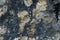 Beauty closeup braun grey rough porous stone texture