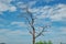 The beauty of the clouds and trees , Kaeng Krachan dam at Petchaburi