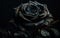 Beauty in Darkness: Captivating Images of High-Quality Black Roses