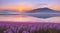 The beauty of the dawn sunrise at Suncheon bay