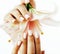 Beauty delicate hands with manicure holding flower lily close up isolated on white, spa salon concept