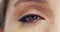 Beauty, face closeup and eye of woman, vision or optometry, skin health or eyeball blink. Eyesight, eyebrow and macro of