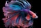 Beauty fantasy fighting fish art . Generate Ai.