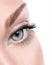 Beauty female eye with curl long false eyelashes