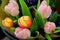 Beauty of flowers - bouquet made of colourful tulips - favourite spring ornamental flowers