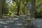 Beauty fountain with lady among venerable sycamore in public garden of Plovdiv town