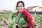 Beauty girl and green cabbages