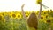 Beauty girl with long red hair standing on yellow sunflower field, raising hands. Happy woman outdoors. Teen. Teenager