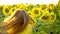 Beauty girl with long red hair stands in yellow sunflower field. Happy woman outdoors. Teen. Teenager. Face. Portrait